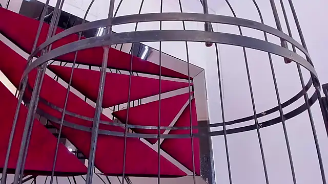 GiaFu online show from January 2025 09:14:02 PM