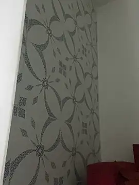 Snapshot of Carolinen chatting on January 2025 06:59:02 PM Carolinen online show from January 2025 06:59:02 PM