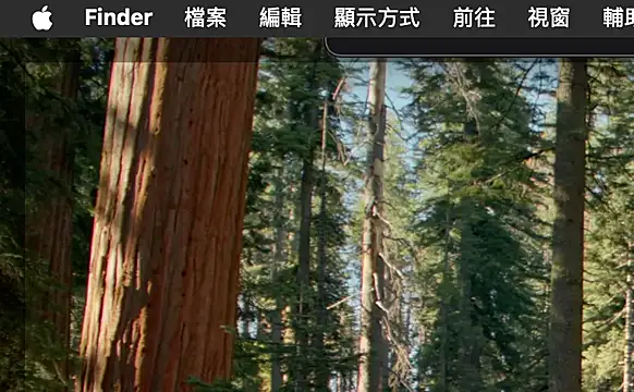 ex199212 online show from March 2025 01:50:02 AM