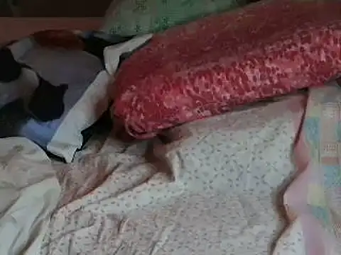 VeneRed online show from April 2026 06:20:01 PM