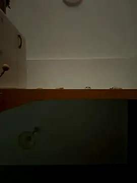 Snapshot of Lecatore80 chatting on November 2025 07:50:01 AM Lecatore80 online show from November 2025 07:50:01 AM