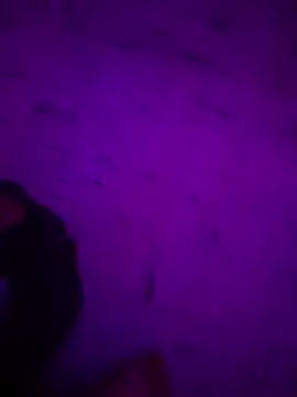 Argento14 online show from November 2025 05:31:02 AM