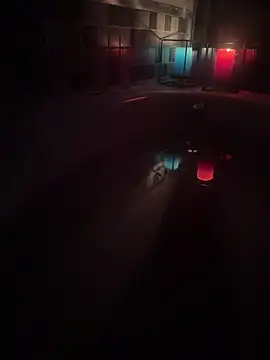 soussssssss online show from December 2025 05:19:02 PM