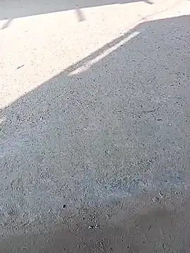 sexsexbo online show from January 2026 07:57:02 AM