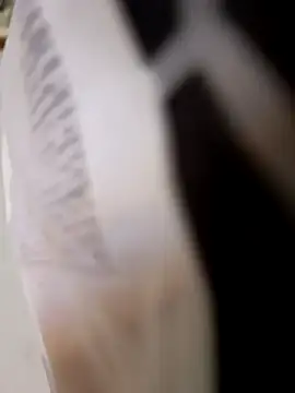 Snapshot of 403notfound chatting on September 2025 11:58:01 AM 403notfound online show from September 2025 11:58:01 AM