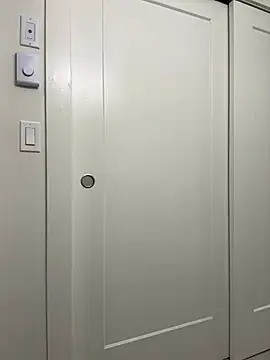 aarosteev2 online show from December 2024 01:00:02 PM