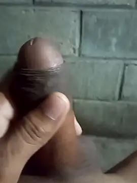 ga213333 online show from November 2025 03:44:02 PM