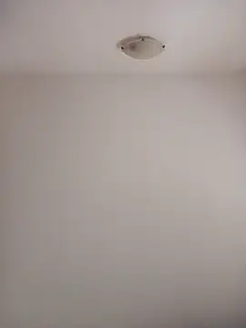 Virgin Pussy Love online show from October 2025 01:26:02 PM