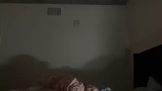 Snapshot of bearcloudcomputa chatting on January 2025 05:11:01 AM bearcloudcomputa online show from January 2025 05:11:01 AM