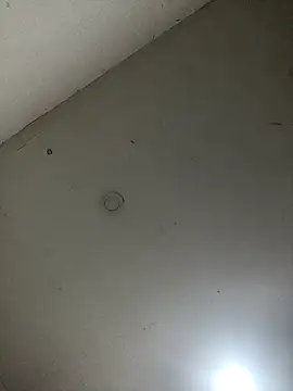 jeremiabello online show from February 2025 04:32:02 AM