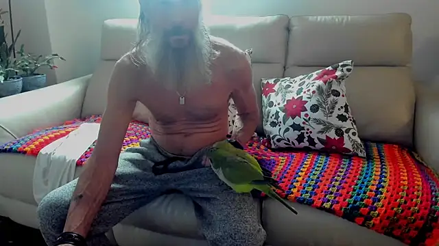 Snapshot of mindphu_k chatting on November 2025 03:13:02 PM mindphu k online show from November 2025 03:13:02 PM