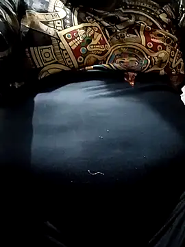 Snapshot of Palanquita4 chatting on February 2026 09:55:01 PM Palanquita4 online show from February 2026 09:55:01 PM