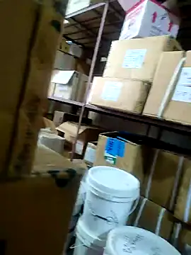 nupa230780 online show from February 2026 09:59:01 AM