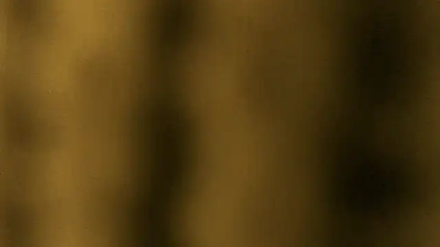 Snapshot of Lina_lolo chatting on March 2026 11:55:01 PM Lina lolo online show from March 2026 11:55:01 PM