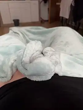 Snapshot of kareem0010 chatting on September 2025 12:38:02 PM kareem0010 online show from September 2025 12:38:02 PM