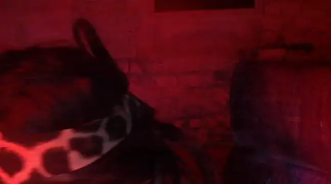 Snapshot of iva_spirit chatting on February 2025 07:52:01 PM iva spirit online show from February 2025 07:52:01 PM