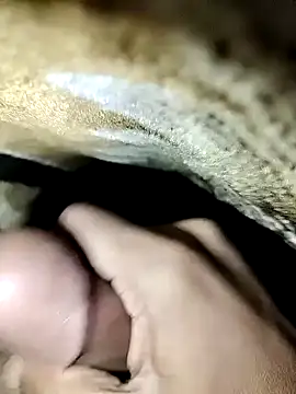 Snapshot of nidansohib1230 chatting on December 2024 11:33:01 AM nidansohib1230 online show from December 2024 11:33:01 AM