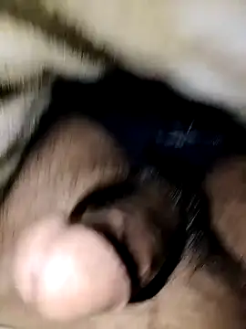 Snapshot of nidansohib1230 chatting on December 2024 04:47:01 PM nidansohib1230 online show from December 2024 04:47:01 PM