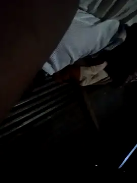 Chiseldigger online show from November 2025 02:55:02 AM