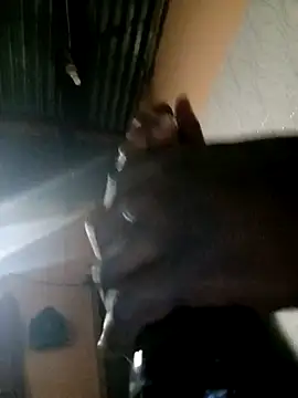 TastyAfrica online show from February 2026 05:28:01 PM