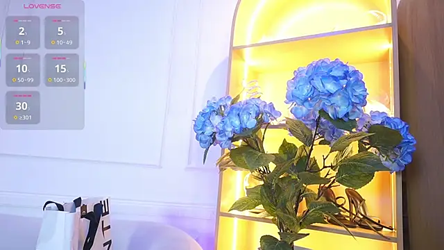 elasummer online show from November 2025 11:57:02 AM