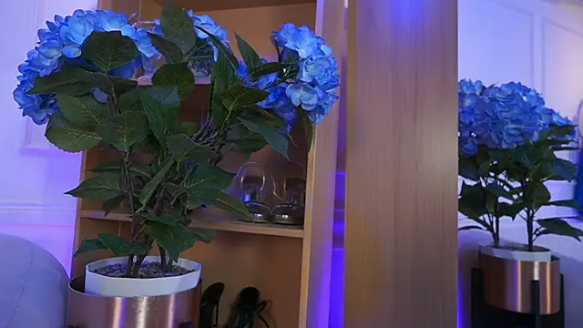 Snapshot of elasummer chatting on February 2026 02:23:01 PM elasummer online show from February 2026 02:23:01 PM