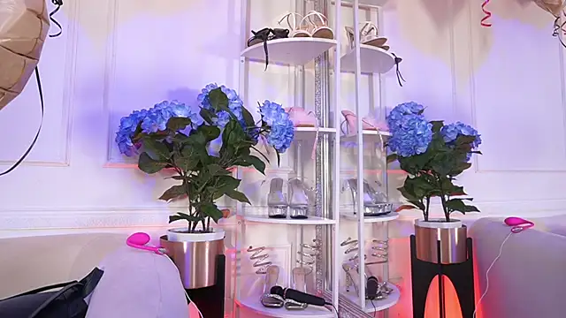 Snapshot of elasummer chatting on February 2026 01:42:01 PM elasummer online show from February 2026 01:42:01 PM