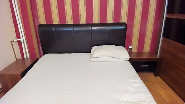 AshPage online show from December 2024 08:58:02 PM