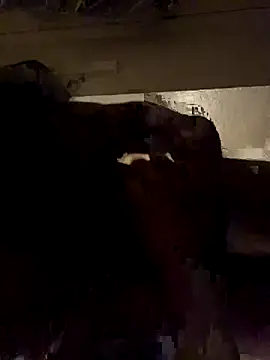 ethergodess9 online show from November 2025 06:13:01 AM