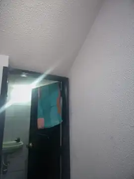 VIOLETA-25  online show from July 2026 03:39:01 PM