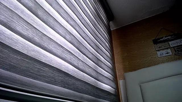 Snapshot of palmer_mIix chatting on December 2024 03:14:01 PM palmer mIix online show from December 2024 03:14:01 PM