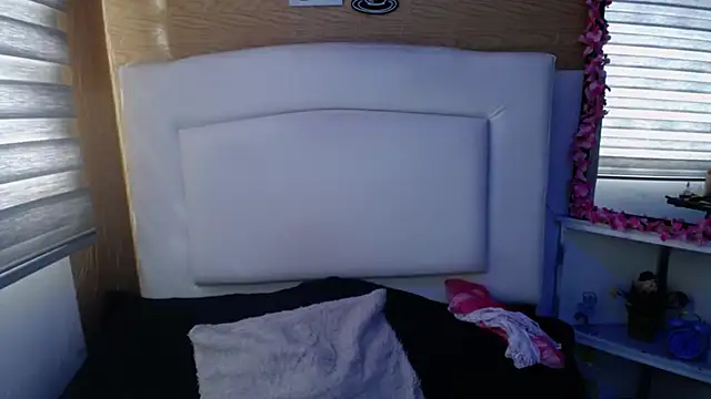 Snapshot of palmer_mIix chatting on December 2024 08:23:02 PM palmer mIix online show from December 2024 08:23:02 PM