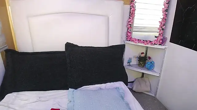 Snapshot of palmer_mIix chatting on December 2024 01:47:01 PM palmer mIix online show from December 2024 01:47:01 PM