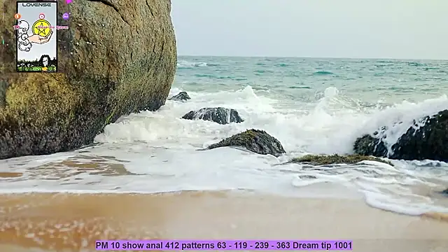  sex in paradise  online show from December 2024 12:35:01 AM