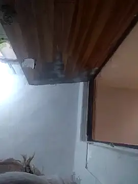 iDogrose21 online show from December 2025 03:38:02 PM