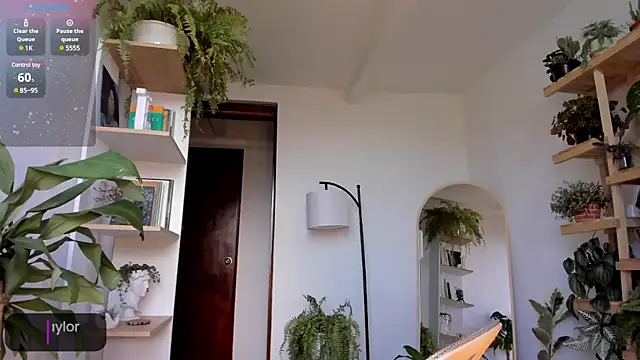 Snapshot of Johaphyton chatting on January 2025 09:13:01 PM Johaphyton online show from January 2025 09:13:01 PM