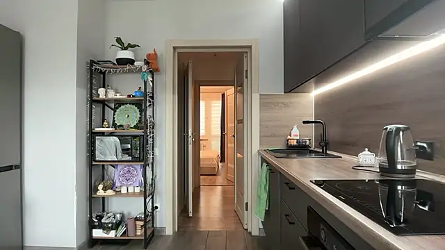 jainesummer online show from November 2025 07:52:02 AM