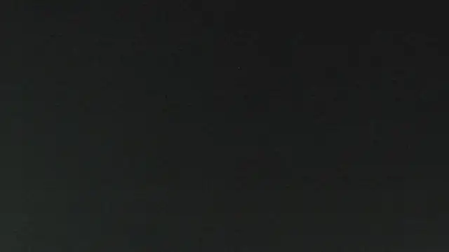 salome daniel online show from June 2026 04:09:02 PM