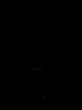 Donstark6669 online show from January 2025 09:50:02 AM