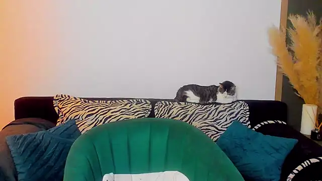 rora skyline online show from March 2026 01:18:01 PM