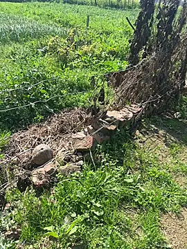 poision51 online show from February 2025 07:55:01 AM