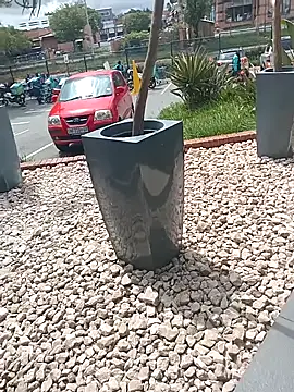 Snapshot of Lexwelll chatting on March 2025 11:05:02 AM Lexwelll online show from March 2025 11:05:02 AM