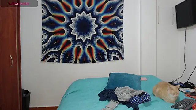 AshleyandTyler online show from December 2024 03:43:01 AM