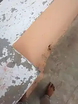 Snapshot of PracticalGum40 chatting on February 2026 03:07:02 AM PracticalGum40 online show from February 2026 03:07:02 AM