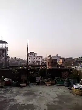 Jeetshine 1234 online show from December 2024 01:32:01 AM