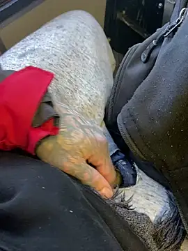 Snapshot of Fuckboy4public chatting on December 2024 04:08:02 PM Fuckboy4public online show from December 2024 04:08:02 PM