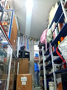 nidia2026 online show from December 2025 03:30:02 PM