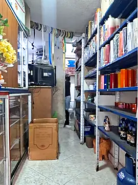 nidia2026 online show from March 2026 01:25:01 PM