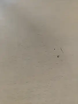 shale26 online show from September 2025 07:36:01 AM