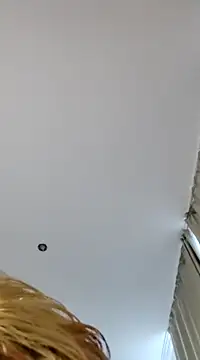 flaviusfcfa2002 online show from February 2025 08:52:01 AM